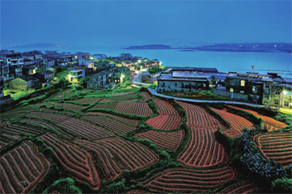 Magnificent Terraces