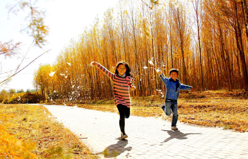 Autumn encounter in NW China