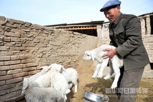 Gansu intensive agriculture strives for poverty alleviation