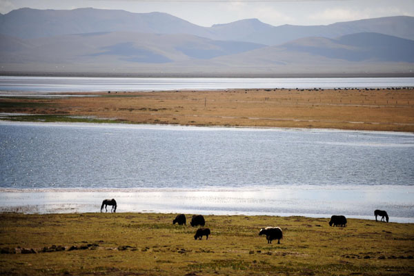 Gahai Lake (Gannan)