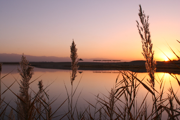 Jiuquan’s scenic sites promoted at tourism festival