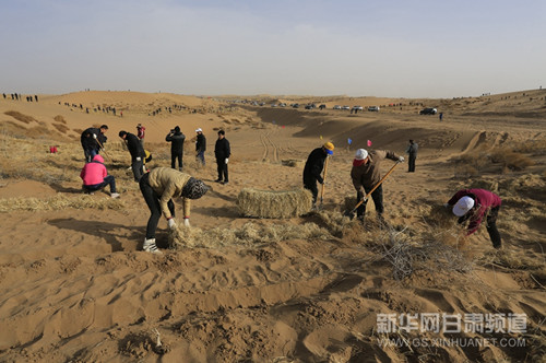 Wuwei city combats desertification