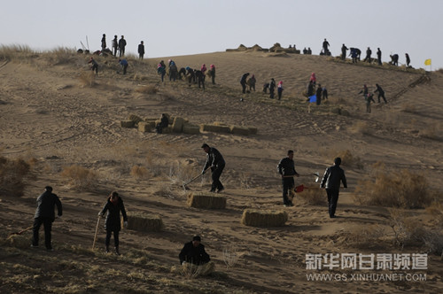 Wuwei city combats desertification