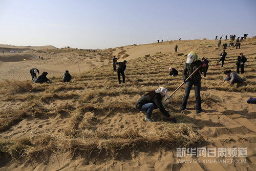 Wuwei city combats desertification