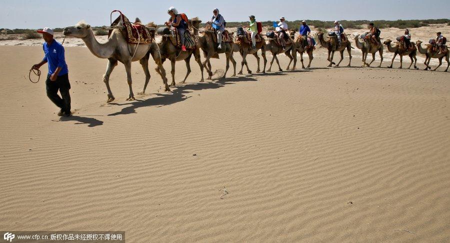 Chinese Silk Road attracts German students