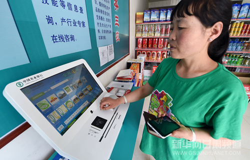 Online financial services benefit farmers in NW China
