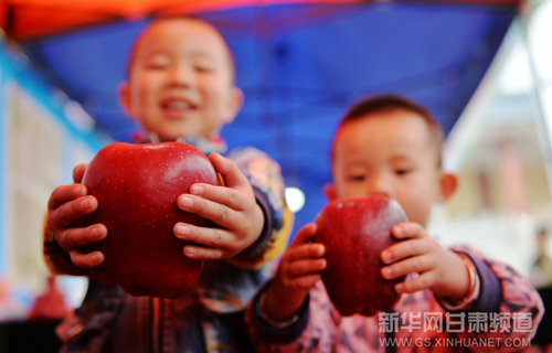 Longnan city inks 1.29 billion yuan of contracts at apple fair