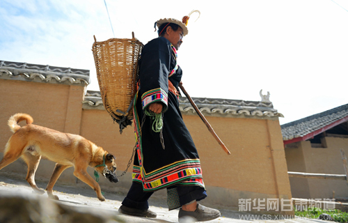 More senior people in China prefer to raise pets