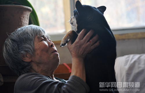 More senior people in China prefer to raise pets