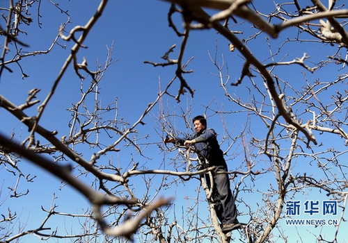 It's the busy season for farmers in NW China