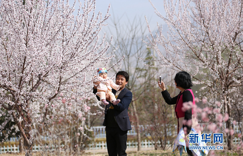 Spring outings in Gansu