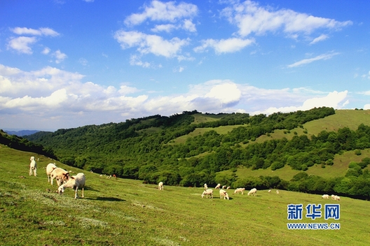 Something not to miss– a summer scenic spot in NW China's prairies