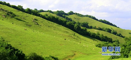 Something not to miss– a summer scenic spot in NW China's prairies