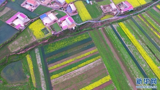 A glimpse of the Tibetan people in Gannan