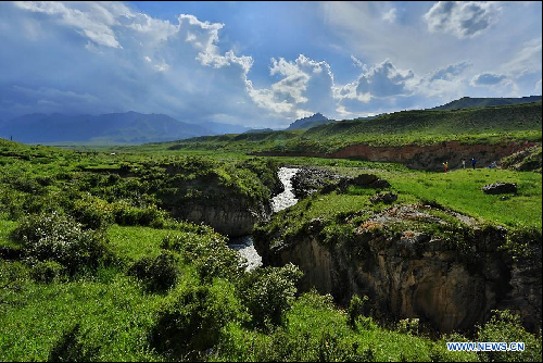 Summer scenery of grassland in Qilian Mountains attracts tourists