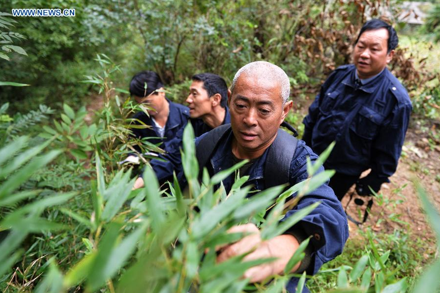 Gansu villagers form scout to prevent illegal hunting, rescue rare animals