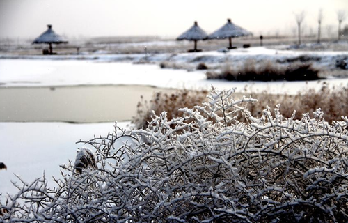 Snow scenery at wetland park NW in China's Gansu province