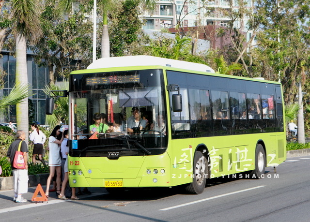 New energy buses hit road in Zhanjiang