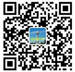 Xuwen launches literary WeChat account