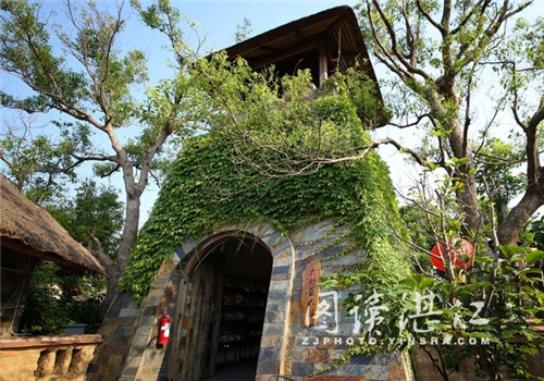 Young artist builds gallery to support Zhanjiang folk art