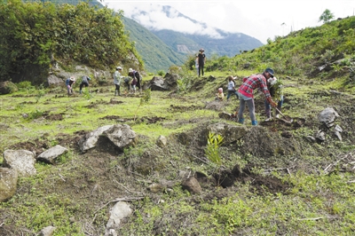 Zhanjiang helps Tibet grow tropical fruit