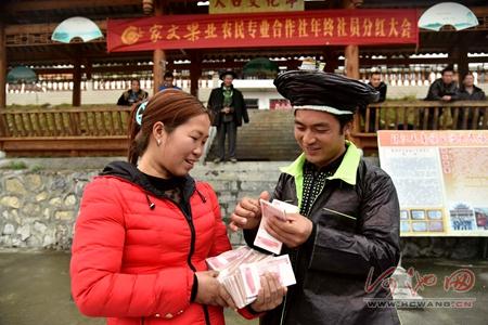 Miao people in fruit cooperative receive year-end bonus