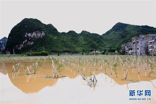 Fengshan suffers from rainstorm