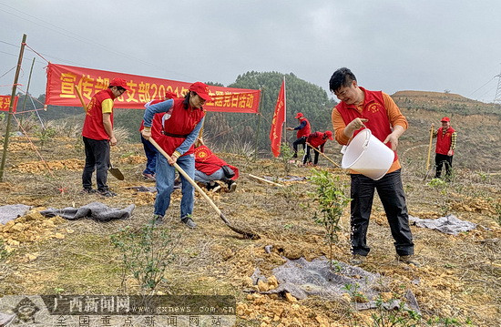 Dahua volunteers plant trees to boost rural revitalization