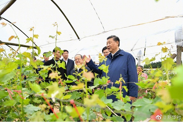 Xi inspects South China's Guangxi