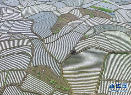 Aerial views of Luocheng Mulam autonomous county