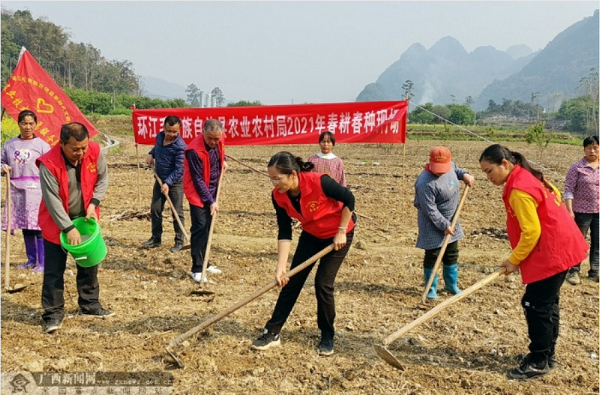 Agricultural technical services boost Huanjiang's spring plowing