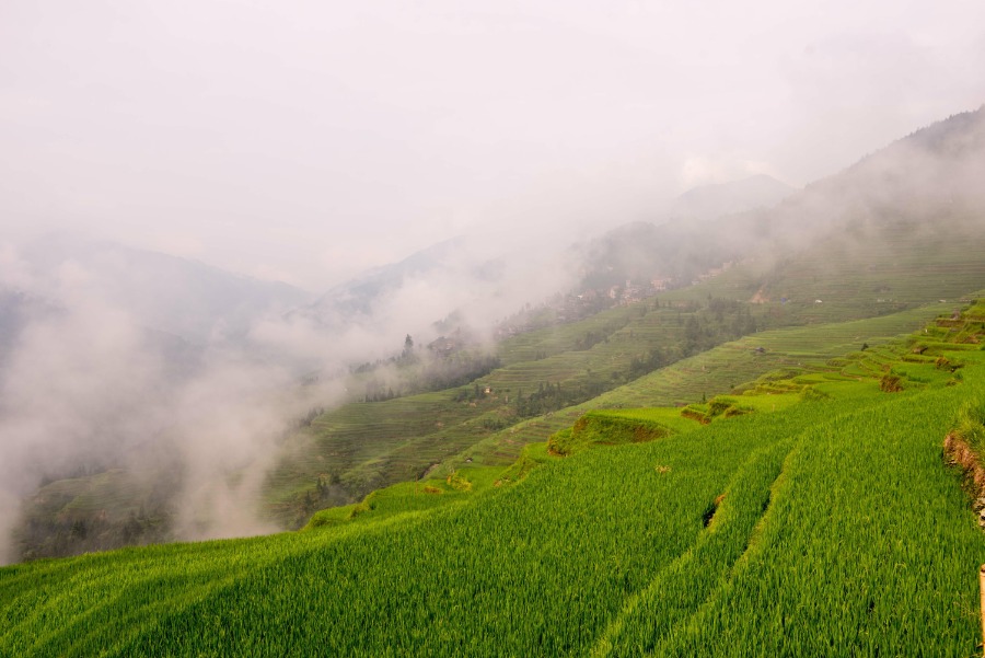 Refreshing summer scene of Jiabang terraced fields in Guizhou province