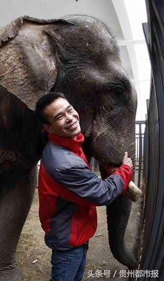 Laotian elephants find new home in Guiyang