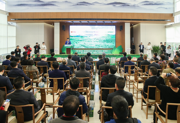 Guizhou tea festival on horizon