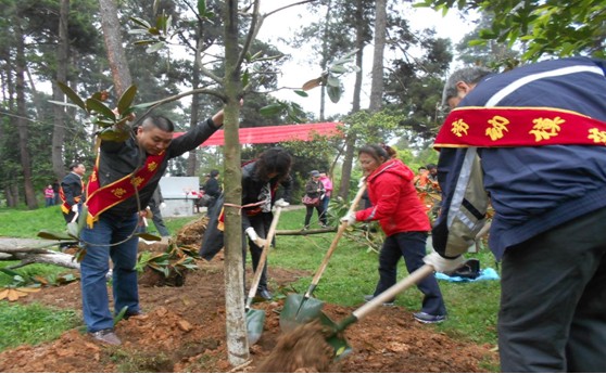 Guiyang builds demonstration forest
