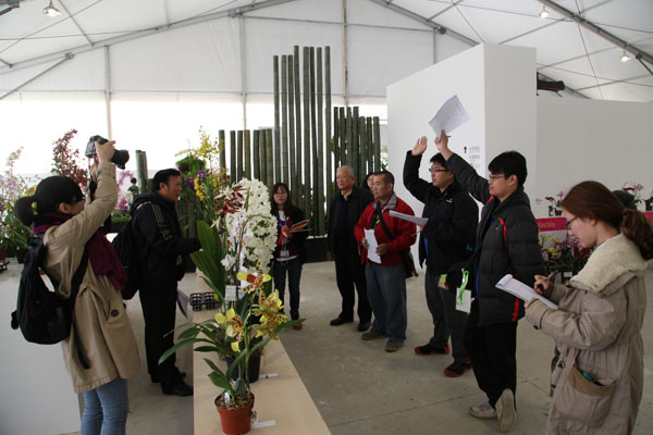 First Shanghai International Orchid Exhibition names champion