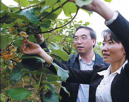 Economic transformation bears fruit in Guizhou