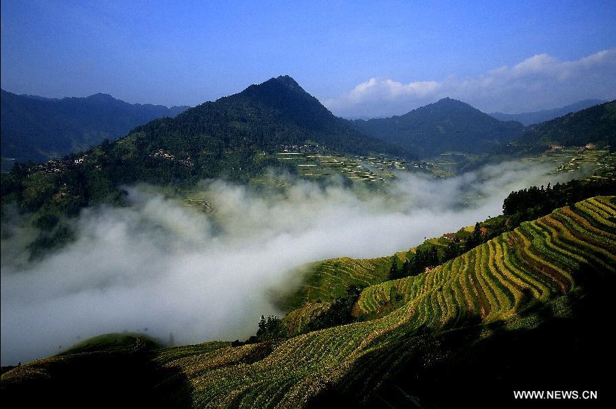 Scenery of terraced fields in SW China