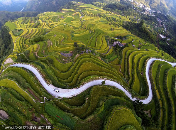 Fields form visual masterpiece in E China