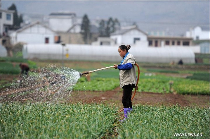 Farmers busy with spring ploughing in SW China