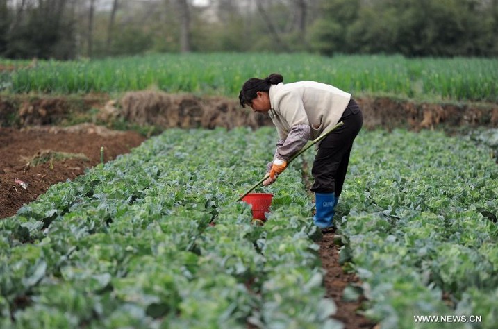 Farmers busy with spring ploughing in SW China