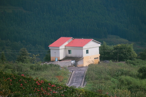 A flower paradise in northern Guizhou