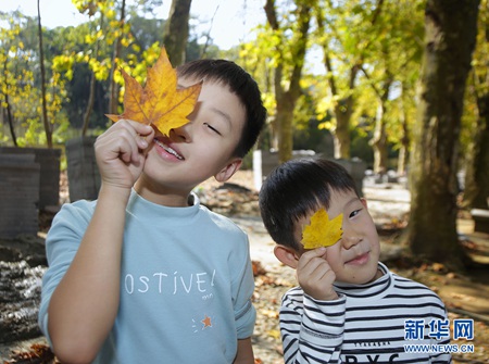 Huaxi Park lures visitors with autumn scenery