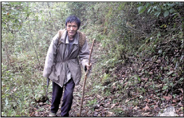 Ranger devotes a lifetime to protecting his trees