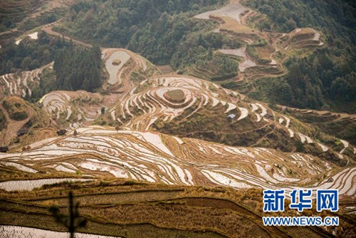 Mysterious Jiabang Rice Terraces are a winter delight