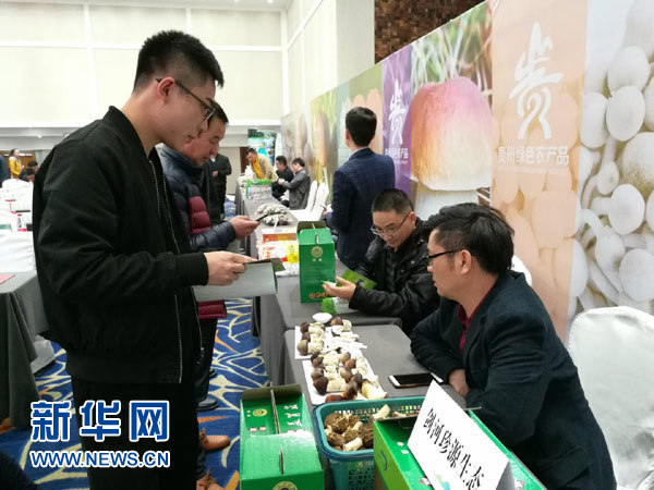 Edible mushrooms promoted in Guiyang