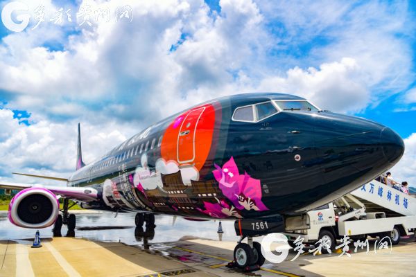 Colorfully painted regional airplane debuts in Guizhou