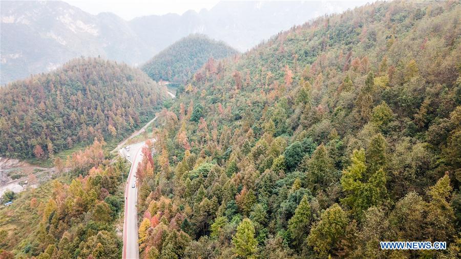 Scenery of Gesuo valley in SW China's Guizhou