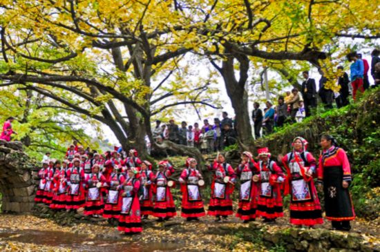 Tuole village, China's most beautiful ginkgo village