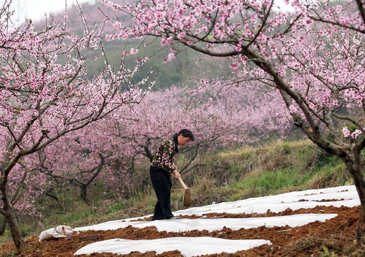 Spring Equinox marked around Guizhou